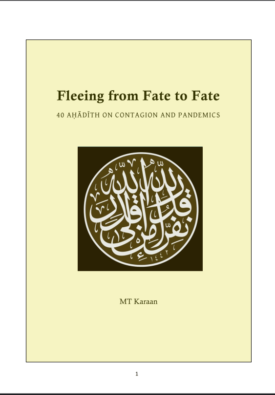 Cover of Fleeing from Fate to Fate